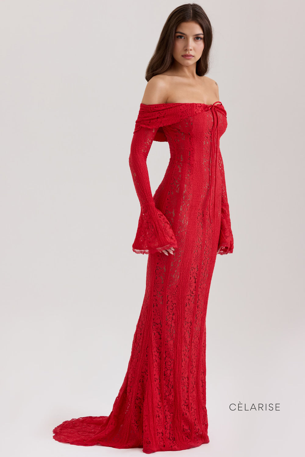 Celarise Alyiah Dantelli Uzun Elbise | 2533 | 2534 | 2535 | 2536